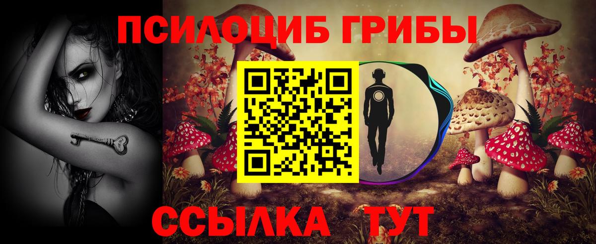 Галлюциногенные грибы Psilocybine cubensis Аша